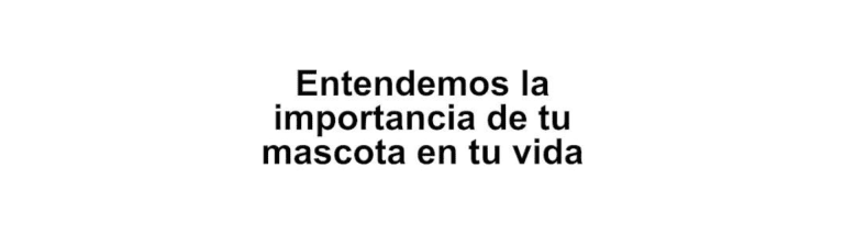 portada pt