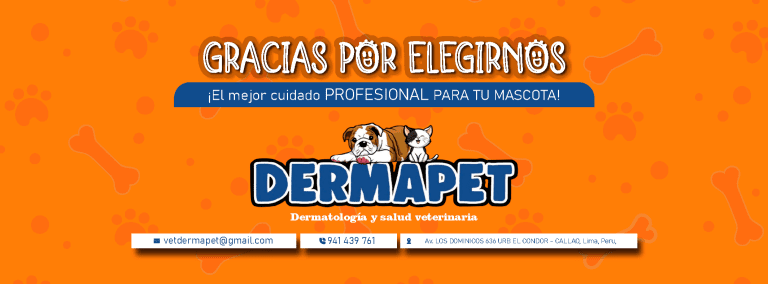 portada pt