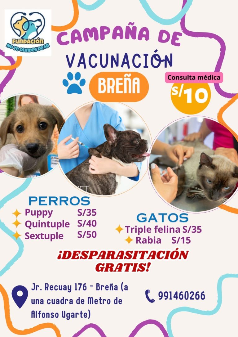 portada pt