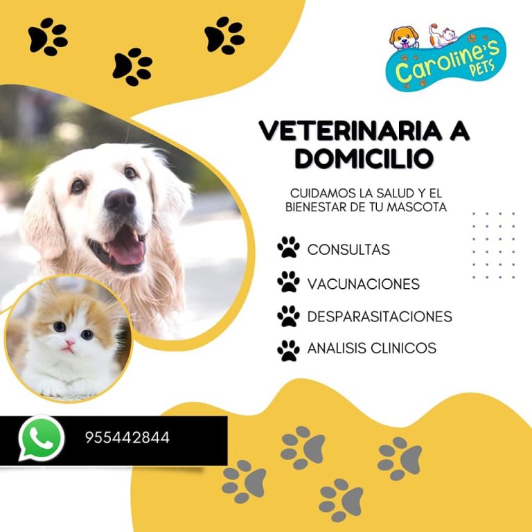 Veterinaria a Domicilio