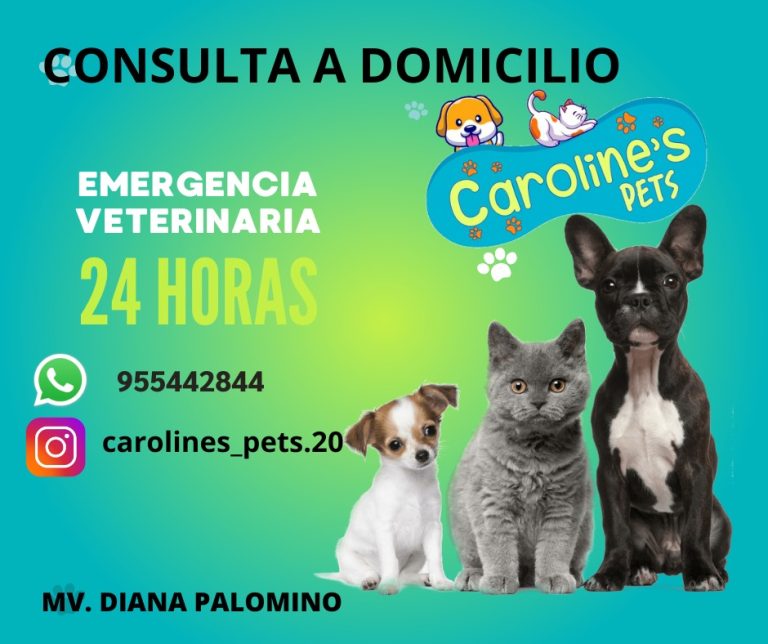 Consultas a Domicilio