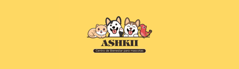 PORTADA M365 1520X420 43 768x222