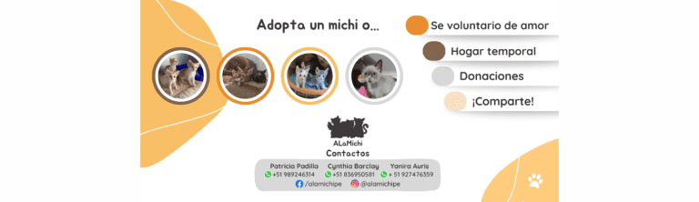 Portada A la Michi