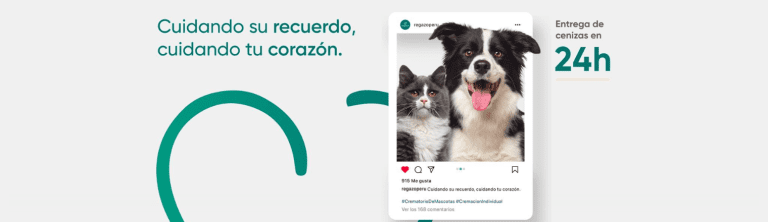 Regazo crematorio portada 768x222