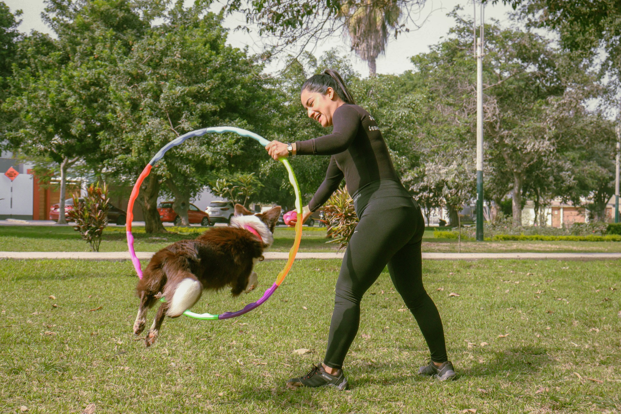 Centro de Salud Emocional Supdog