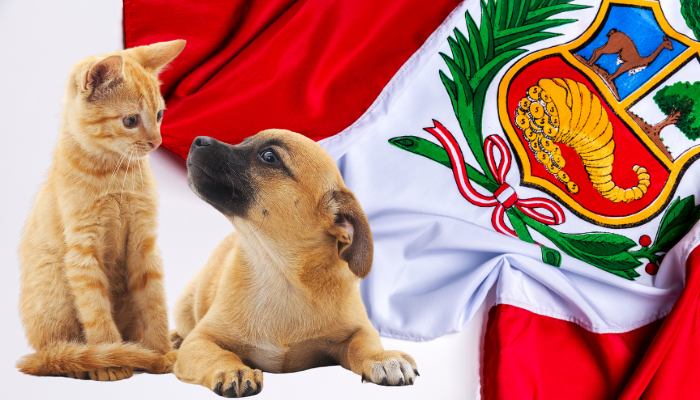 Puedes celebrar las fiestas patrias con tu mascotas en Lima