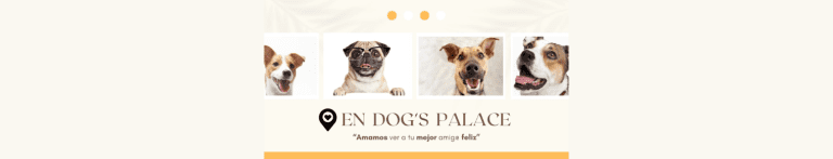 PortadaN Dogs Palace 768x147