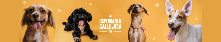 PortadaN Esperanza Callejera 768x147