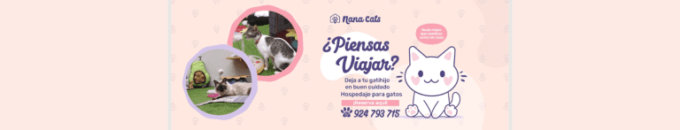 PortadaN Nana cats 768x147