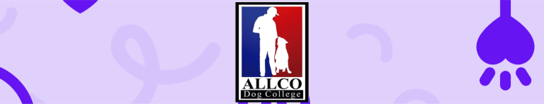 PortadaN allco dog college 768x147