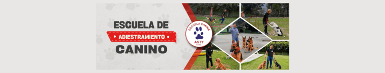 PortadaN escuela de adiestramiento canino 768x147