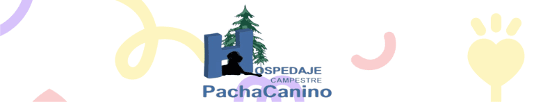 PortadaN pachacanino 768x147