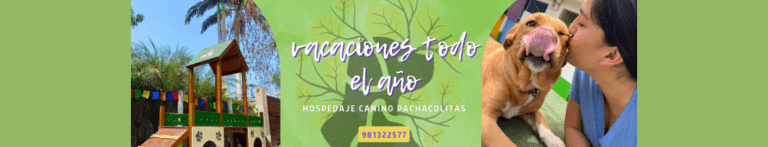 PortadaN pachacolitas 768x147