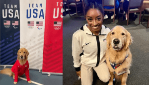 Beacon el perro de apoyo emocional del Team USA