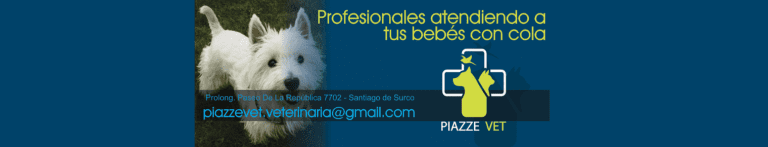 Portada piazze vet prueba 768x147