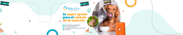 PortadaN Fede y Lu 768x147