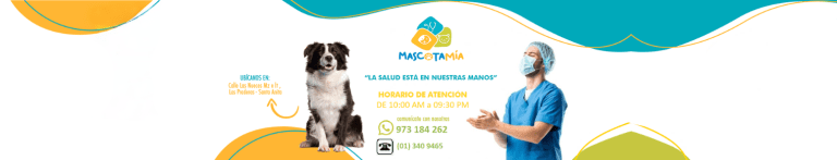 PortadaN Mascota mia 768x147