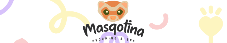 PortadaN Masqotina 768x147