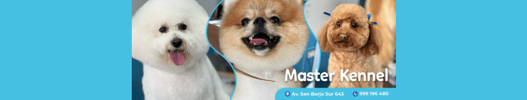 PortadaN Master Kennel 768x147
