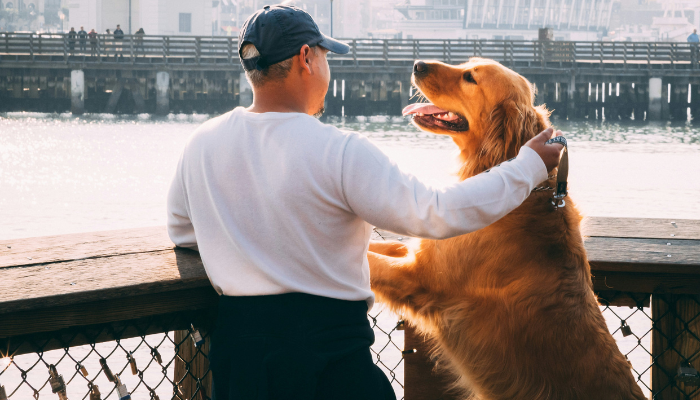 El dia del perro adoptado se celebra a nivel mundial el 23 de septiembre