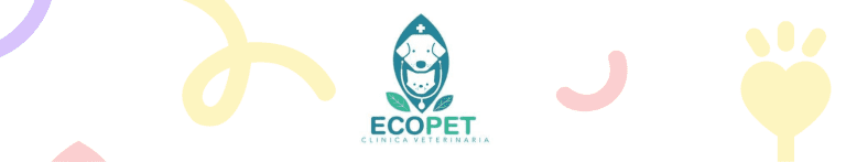 PortadaN Ecopets clinica veterinaria 768x147