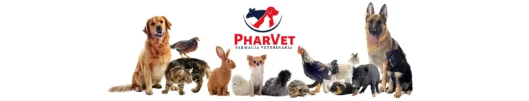PortadaN Pharvet 768x147