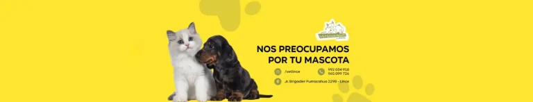 PortadaN Veterinaria Lince 768x147