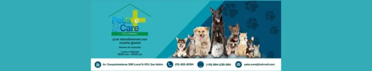 PortadaN Veterinaria Pets Care 768x147