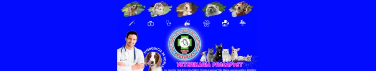 PortadaN Veterinaria Prosapvet 768x147