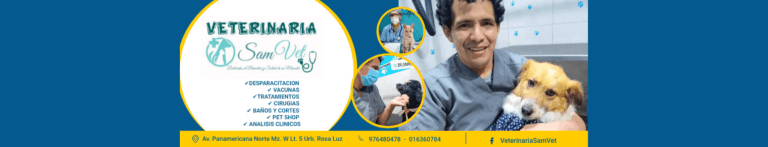 PortadaN Veterinaria Sam Vet 768x147