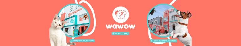 PortadaN Wawow 768x147