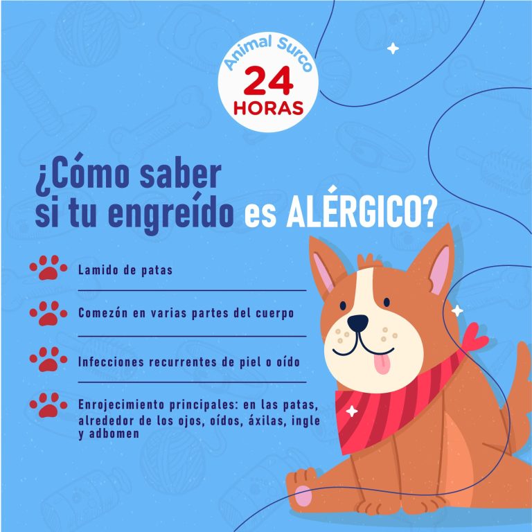 Animal surco 2 768x768