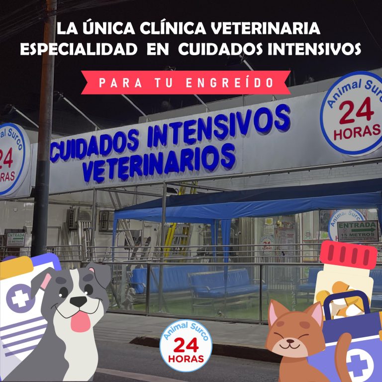 Animal surco 3 768x768