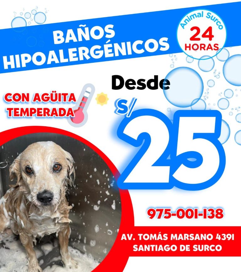 animal surco 4 768x864