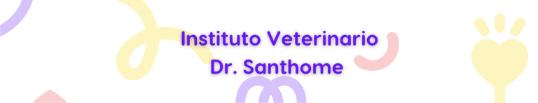 Portada Dr Santhome 768x147