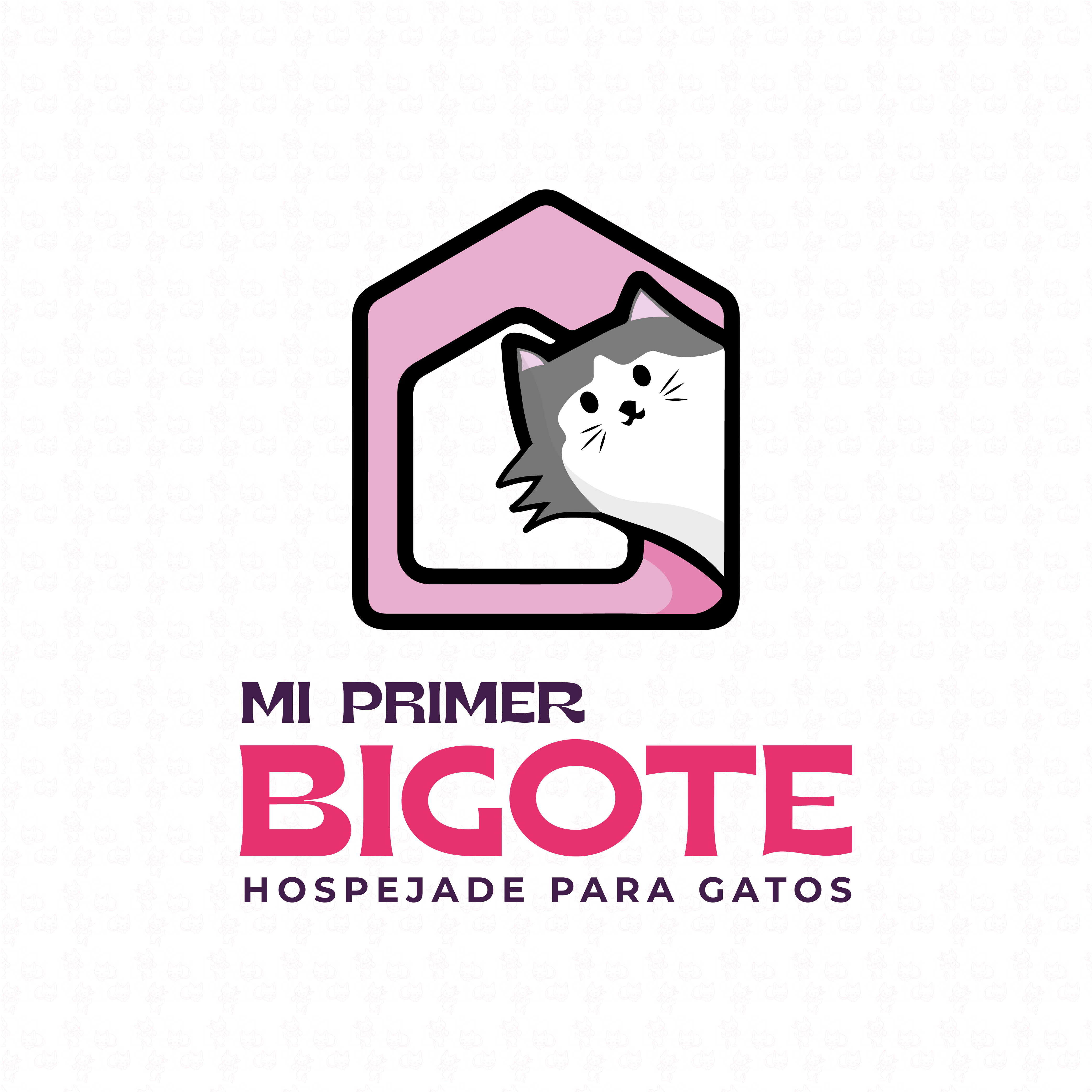 Mi Primer Bigote Hospedaje para Gatos