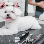 El corte de pelo para cachorros es esencial para su salud
