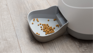 Un dispensador automático para comida puede ser un herramienta útil para ti y tu mascota