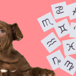 Algunas razas de perros van según tu signo zodiacal