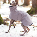 Existen algunas razas de perros que sufren más en invierno