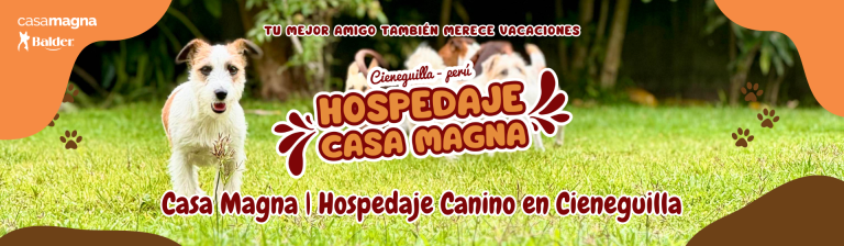 Portada casa magna 768x224