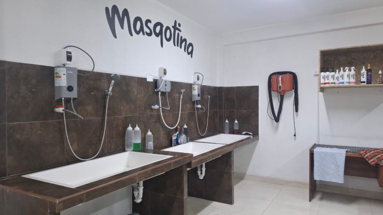 la masqotina 4 768x432