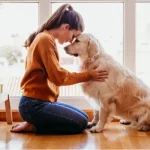 las emociones humanas pueden ser leídas por los perros