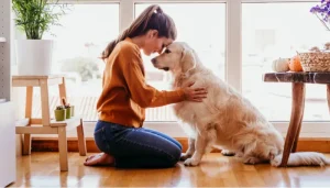 las emociones humanas pueden ser leídas por los perros