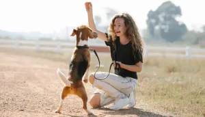 Enseñar mandos básicos a tu perro puede ser divertido