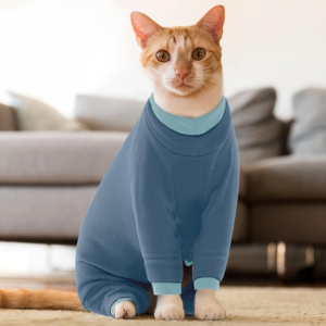 Las chompas de cuerpo entero para gatos son una opción