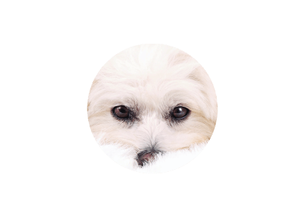 Logo-aliado-scroll-14