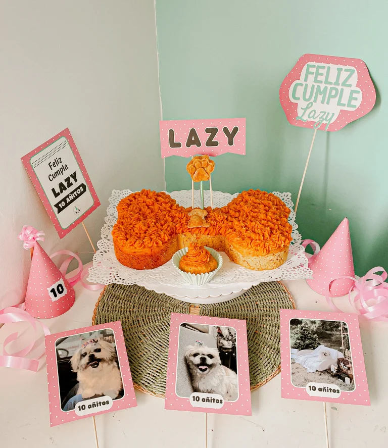 Lulu puppy party 1 768x887