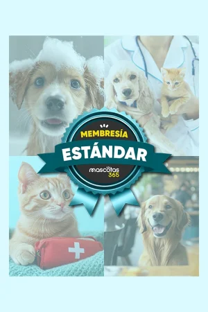 Servicio de Seguro Estándar Mensual