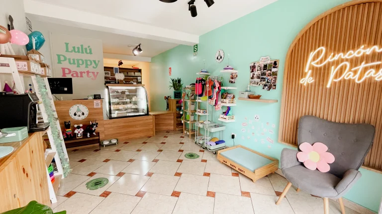 lulu puppy party 2 768x432